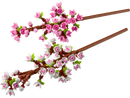 LEGO® Cherry Blossoms (40725)
