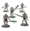 Triarch Praetorians (Lychguard)