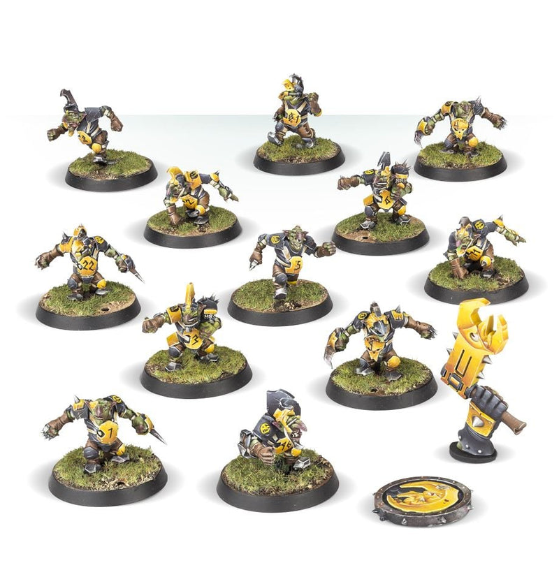 Goblin Blood Bowl Team: The Scarcrag Snivellers