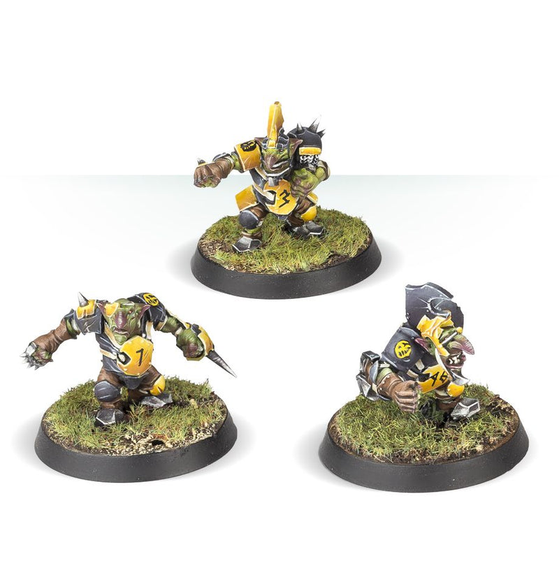 Goblin Blood Bowl Team: The Scarcrag Snivellers